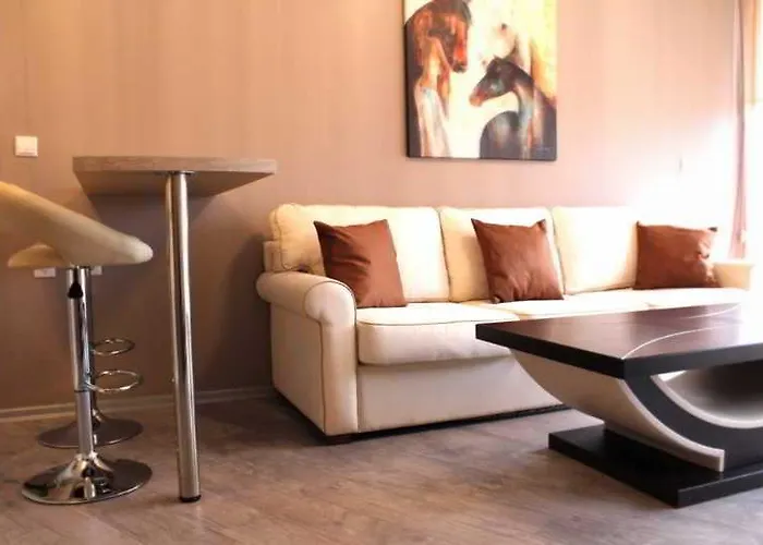 Boomerang - Sunny Napospart