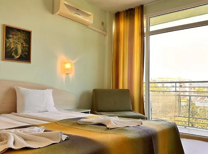 Boomerang - Sunny סאני ביץ'