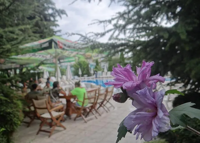 מלון Boomerang - Sunny סאני ביץ'