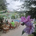 Szálloda Boomerang - Sunny Napospart