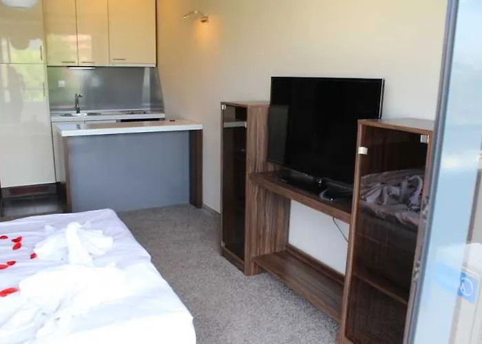 Boomerang - Sunny Hotel